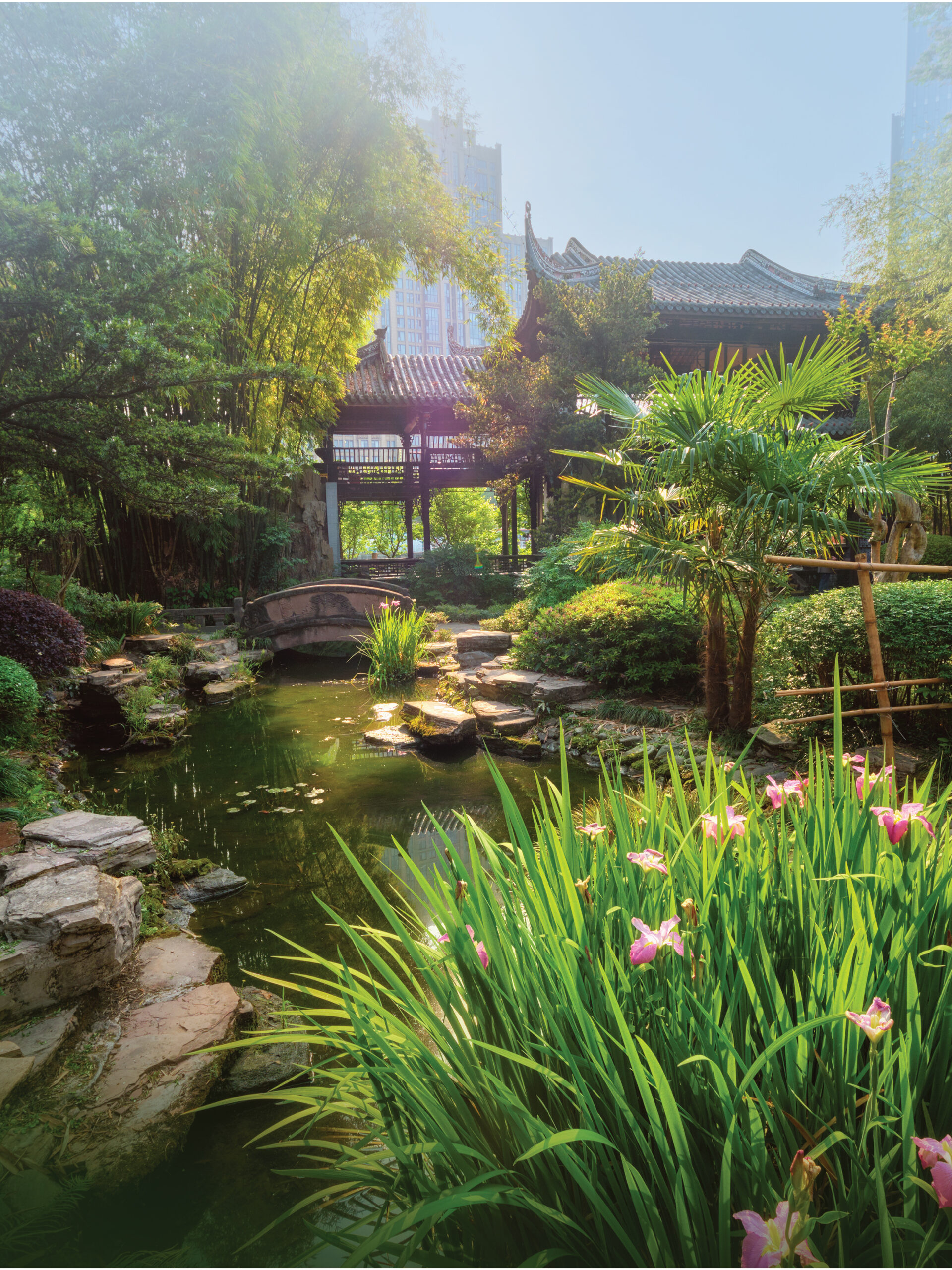 natural pathway